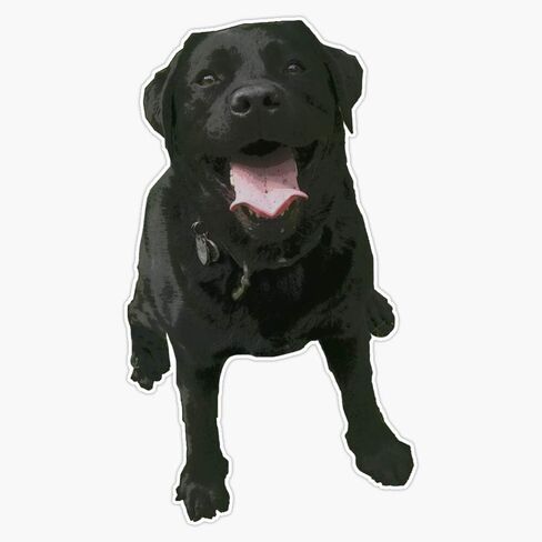 MAGNET Black Lab, Labrador Retriever, Dog Magnetic Sticker Vinyl Waterproof Magnet Decal Car 5" in Saudi Arabia