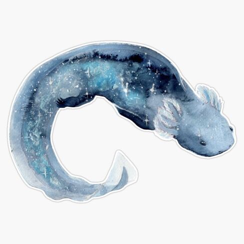 ملصق فينيل مغناطيسي من MAGNET Galaxy Axolotl مغناطيس 5 بوصة in Kuwait