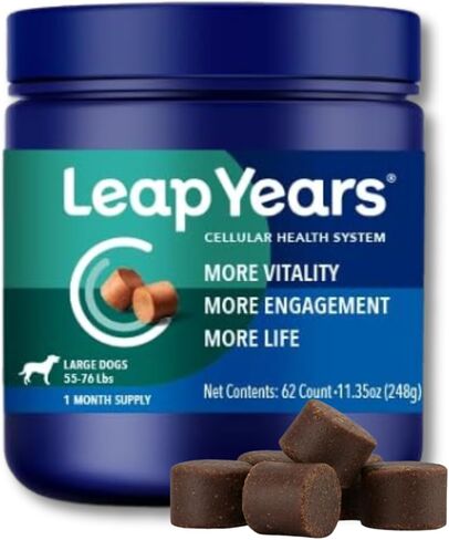 ملحق Leap Years Soft Chew Dog - تركيبة NAD وSenolytic اليومية المثبتة سريريًا؛ دعم الإدراك والحيوية والشيخوخة الخلوية الصحية؛ نكهة لحم البقر (سلالة كبيرة (55-76 رطل)) in Saudi Arabia
