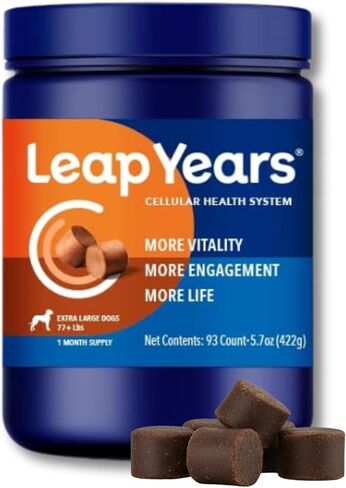 ملحق Leap Years Soft Chew Dog - تركيبة NAD وSenolytic اليومية المثبتة سريريًا؛ دعم الإدراك والحيوية والشيخوخة الخلوية الصحية؛ نكهة لحم البقر (سلالة كبيرة (55-76 رطل)) in Saudi Arabia