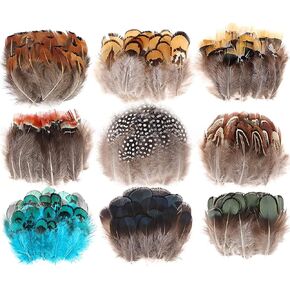 MWOOT 9 Styles Assorted Crafts Feathers, 180Pcs DIY Dreamcatcher Crafts Art Decor Feathers, DIY Earring Wings Carnival Party Mask Activities Project Accessories Small Feather - Mixed Green Blue Brown