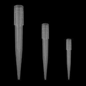 yyangz 150PCS Plastic Flower Stem Tubes Cake Nails Preserved Flower DIY Flower Arrangement Accessories Reinforced Floral Foam Nail for Roses Carnations African Daisies Pompons Chrysanthemum Stand