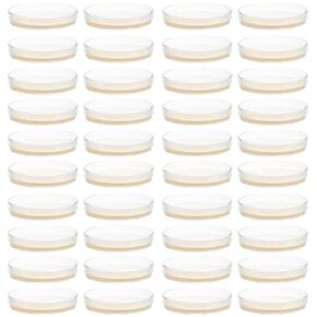 SOLUSTRE 40pcs Nutrient Agar Plate Petri Dish with Agar prepoured Agar Plates Petri Dishes Malt Extract Agar Plates