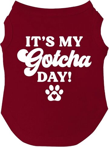 It's My Gotcha Day Dog Tee Shirt Sizes for Puppies, Toys, and Large Breeds (Assorted Colors) (Royal, 3X-Large) in Saudi Arabia