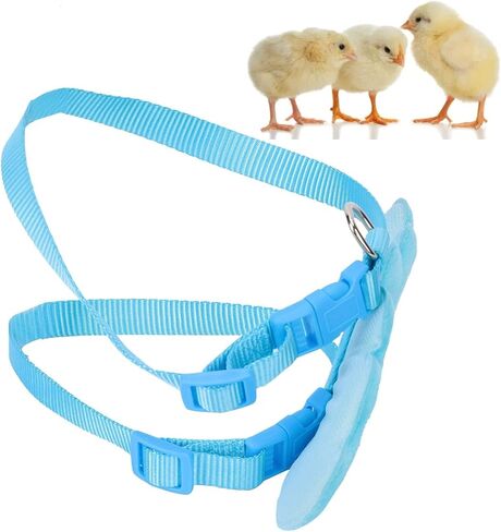 Chicken Harness, Duck Harness with Wings Shape Duck Leash Pet Outdoor Training Rope Adjustable for Chicken Duck Small Pets Training Walking (XS) in Kuwait