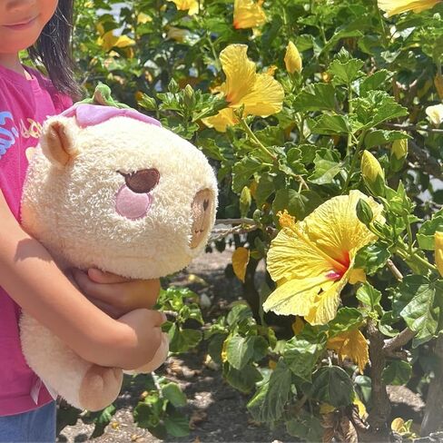 Cuddle Barn PlushGoals - Camden The Calm Capybara | Super Soft Cute Kawaii Collectible Stuffed Animal Plush Toy, 9 inches in Kuwait