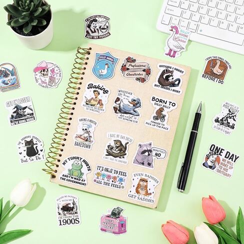 Chivertion 400 Pcs Funny Stickers Funny Stickers for Adults Cool Stickers Laptop Stickers Waterproof Sticker Sarcastic Stickers Hat Wall Window Bumper Sticker, 50 Styles in Kuwait