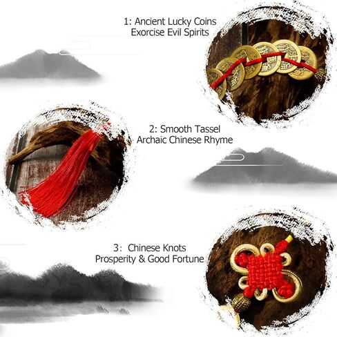 WILLBOND 8 Pieces 2025 Chinese Good Lucky Coins Charms Feng Shui 8 Coin Pendant Chinese Knot New Year Fortune Hanging Decorations, Means Wealth and Success in Saudi Arabia