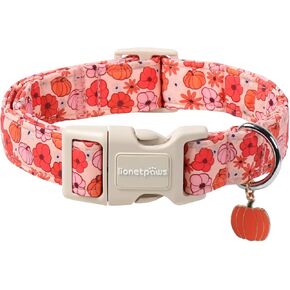 Lionet Paws Orange Dog Collar Fall، أطواق أوراق حمراء مع إبزيم سريع التحرير للكلاب والبنات، متوسط، رقبة 13.5-22 بوصة in Kuwait