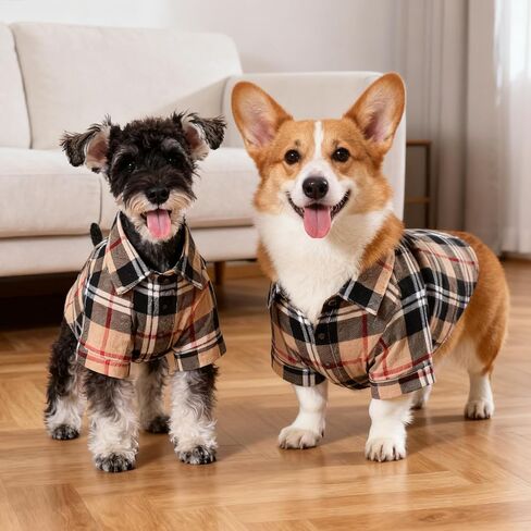 KOOLTAIL قميص الخريف للكلاب، قمصان منقوشة للحيوانات الأليفة باللون البرتقالي للهالوين، ملابس لطيفة للكلاب مناسبة لجميع المواسم، تي شيرت مريح للكلاب الصغيرة والمتوسطة والكبيرة والقطط، زي ملابس الحيوانات الأليفة، مقاس M in Kuwait