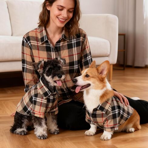 KOOLTAIL قميص الخريف للكلاب، قمصان منقوشة للحيوانات الأليفة باللون البرتقالي للهالوين، ملابس لطيفة للكلاب مناسبة لجميع المواسم، تي شيرت مريح للكلاب الصغيرة والمتوسطة والكبيرة والقطط، زي ملابس الحيوانات الأليفة، مقاس M in Kuwait