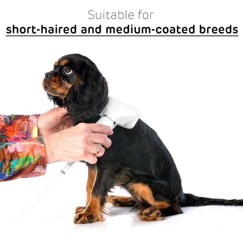 iPettie Breeze B540S Dog Grooming Hair Dryer with Slicker Brush, 2-in-1 Drying & Brushing Tool, Adjustable Temperature & Speed, Portable, Overheat Protection, Dog Blow Dryer for Dogs and Cats in Kuwait