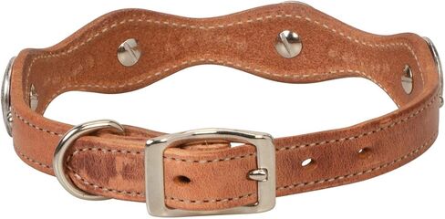 Weaver Pet Texas Star Collar in Saudi Arabia