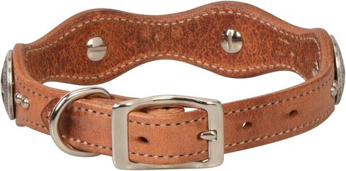 Weaver Pet Texas Star Collar in Saudi Arabia