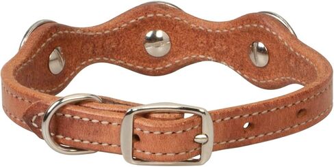 Weaver Pet Texas Star Collar in Saudi Arabia