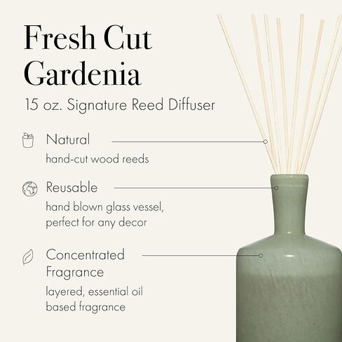 موزع روائح القصب المميز من LAFCO New York، Feu de Bois - 15 أونصة - عمر عطر يصل إلى 9 أشهر - وعاء زجاجي منفوخ يدويًا قابل لإعادة الاستخدام - قصب من الخشب الطبيعي - صنع في الولايات المتحدة الأمريكية in Kuwait