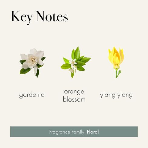 موزع روائح القصب المميز من LAFCO New York، Feu de Bois - 15 أونصة - عمر عطر يصل إلى 9 أشهر - وعاء زجاجي منفوخ يدويًا قابل لإعادة الاستخدام - قصب من الخشب الطبيعي - صنع في الولايات المتحدة الأمريكية in Kuwait