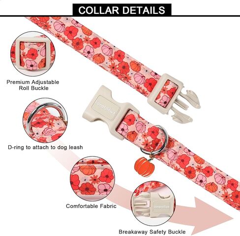 Lionet Paws Orange Dog Collar Fall، أطواق أوراق حمراء مع إبزيم سريع التحرير للكلاب والبنات، متوسط، رقبة 13.5-22 بوصة in Kuwait