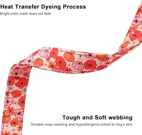 Lionet Paws Orange Dog Collar Fall، أطواق أوراق حمراء مع إبزيم سريع التحرير للكلاب والبنات، متوسط، رقبة 13.5-22 بوصة in Kuwait