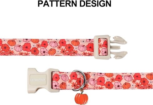 Lionet Paws Orange Dog Collar Fall، أطواق أوراق حمراء مع إبزيم سريع التحرير للكلاب والبنات، متوسط، رقبة 13.5-22 بوصة in Kuwait