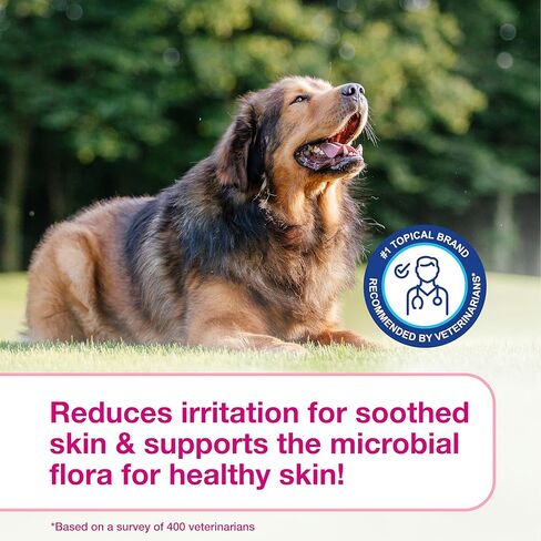 Douxo S3 Calm Shampoo 6.7 oz (200 mL) - For Dogs and Cats with Allergic, Itchy Skin in Kuwait