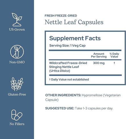 Eclectic Institute Raw Freeze-Dried Non-GMO Nettle Leaf | Healthy Sinus Support, Histamine Response & Respiratory Wellness | 90 CT in Saudi Arabia