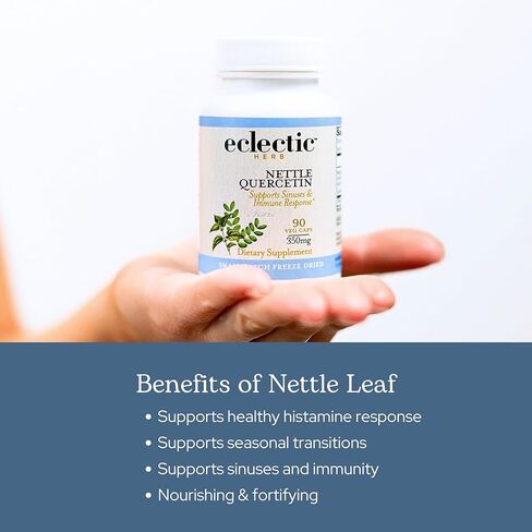 Eclectic Institute Raw Freeze-Dried Non-GMO Nettle Leaf | Healthy Sinus Support, Histamine Response & Respiratory Wellness | 90 CT in Saudi Arabia