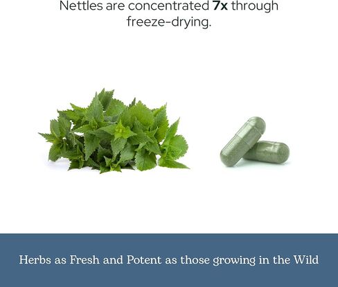 Eclectic Institute Raw Freeze-Dried Non-GMO Nettle Leaf | Healthy Sinus Support, Histamine Response & Respiratory Wellness | 90 CT in Saudi Arabia
