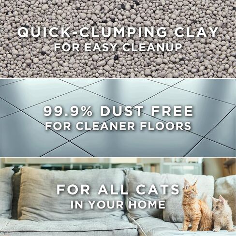 Purina Tidy Cats Free and Clean Unscented Clumping Cat Litter, 38 lb Box in Saudi Arabia