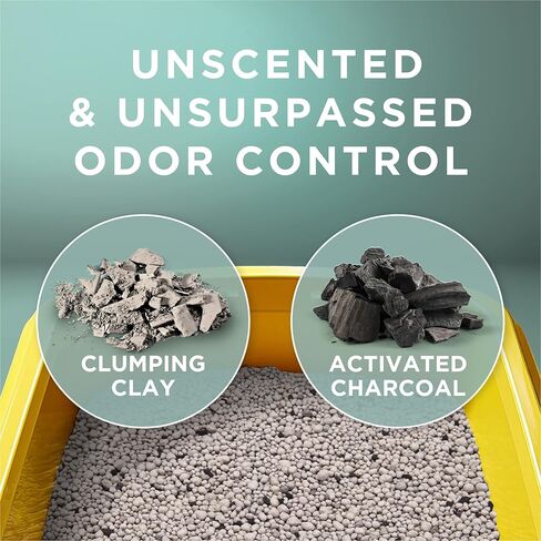 Purina Tidy Cats Free and Clean Unscented Clumping Cat Litter, 38 lb Box in Saudi Arabia