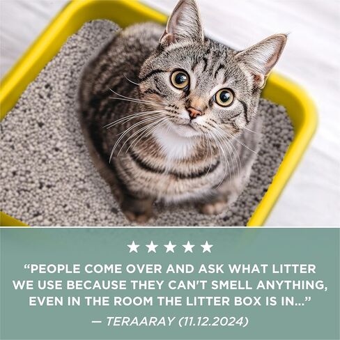 Purina Tidy Cats Free and Clean Unscented Clumping Cat Litter, 38 lb Box in Saudi Arabia