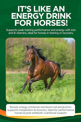 مكمل غذائي سائل للحصان من TRM IronXcell من أجل التمثيل الغذائي الصحي والأمعاء الخلفية | زيادة الطاقة والأداء - 126 أونصة سائلة/1 جالون أمريكي (3.78 لتر) - 126 أونصة سائلة (1 جالون أمريكي) in Kuwait