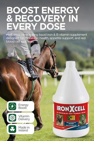 مكمل غذائي سائل للحصان من TRM IronXcell من أجل التمثيل الغذائي الصحي والأمعاء الخلفية | زيادة الطاقة والأداء - 126 أونصة سائلة/1 جالون أمريكي (3.78 لتر) - 126 أونصة سائلة (1 جالون أمريكي) in Kuwait