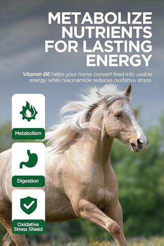 مكمل غذائي سائل للحصان من TRM IronXcell من أجل التمثيل الغذائي الصحي والأمعاء الخلفية | زيادة الطاقة والأداء - 126 أونصة سائلة/1 جالون أمريكي (3.78 لتر) - 126 أونصة سائلة (1 جالون أمريكي) in Kuwait