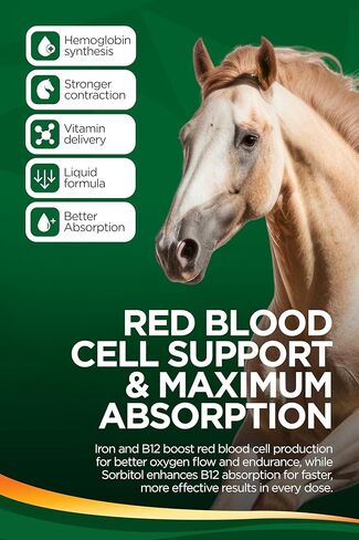 مكمل غذائي سائل للحصان من TRM IronXcell من أجل التمثيل الغذائي الصحي والأمعاء الخلفية | زيادة الطاقة والأداء - 126 أونصة سائلة/1 جالون أمريكي (3.78 لتر) - 126 أونصة سائلة (1 جالون أمريكي) in Kuwait