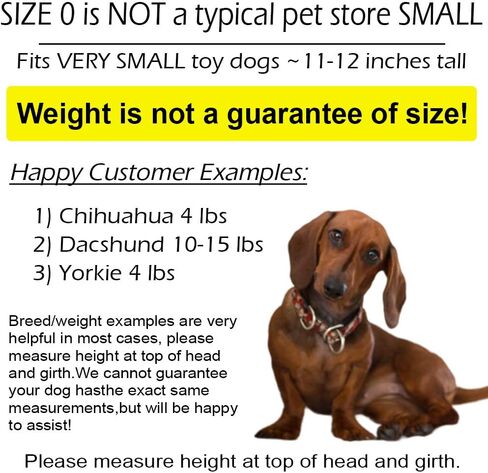 زي الهالوين للكلاب من Pandaloon - كما يظهر على خزان القرش - حاصل على براءة اختراع - زي مضحك بأذرع للكلاب والقطط الصغيرة والمتوسطة (الباندا، مقاس 5 طويل (26-30 بوصة ارتفاع عند أعلى الرأس)) in Kuwait