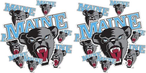 Desert Cactus University of Maine Stickers UMaine Black Bears Vinyl Decals Laptop Water Bottle Car Scrapbook 13.43x10.98 Sheet T3 (Type 3-1) in Saudi Arabia