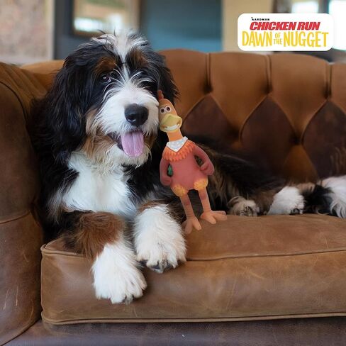 Multipet Chicken Run Rocky Latex Dog Toy - Durable Squeaky Dog Toy for All Dogs - Easy-to-Clean Latex Dog Squeaky Toys - Latex Dog Toys for Cuddling, Chewing & Playing - Cute Pet Toy (10") in Kuwait