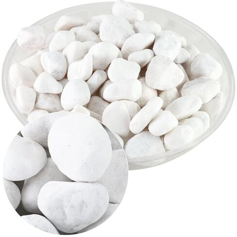 11Lbs Natural River Rocks for Plants 1.6-2.5 inches Large White Landscaping Garden Stones White Aquarium Gravel Decorative Pebbles for Indoor Outdoor Planters Home Decor in Kuwait