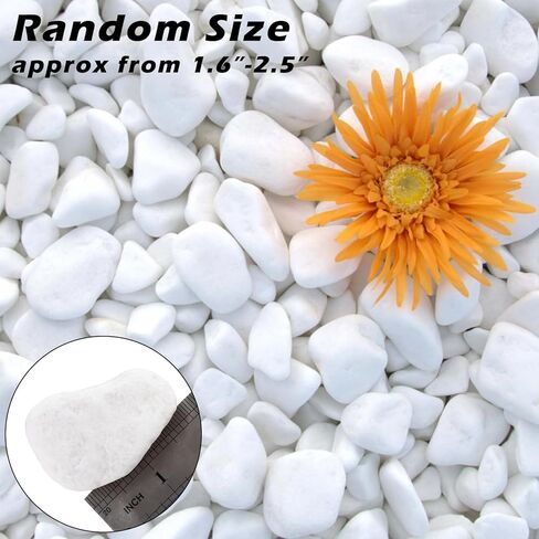 11Lbs Natural River Rocks for Plants 1.6-2.5 inches Large White Landscaping Garden Stones White Aquarium Gravel Decorative Pebbles for Indoor Outdoor Planters Home Decor in Kuwait