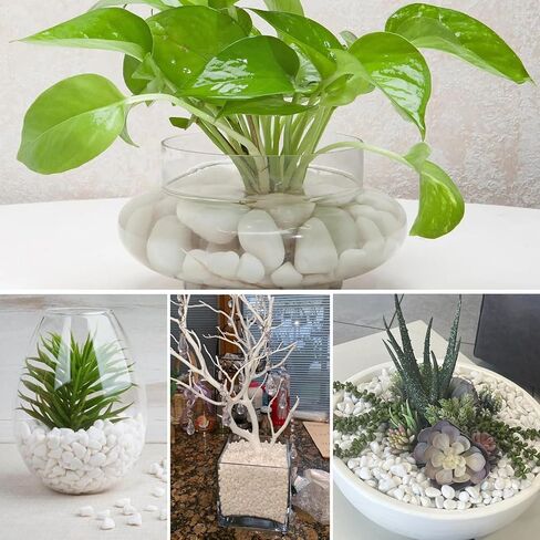 11Lbs Natural River Rocks for Plants 1.6-2.5 inches Large White Landscaping Garden Stones White Aquarium Gravel Decorative Pebbles for Indoor Outdoor Planters Home Decor in Kuwait