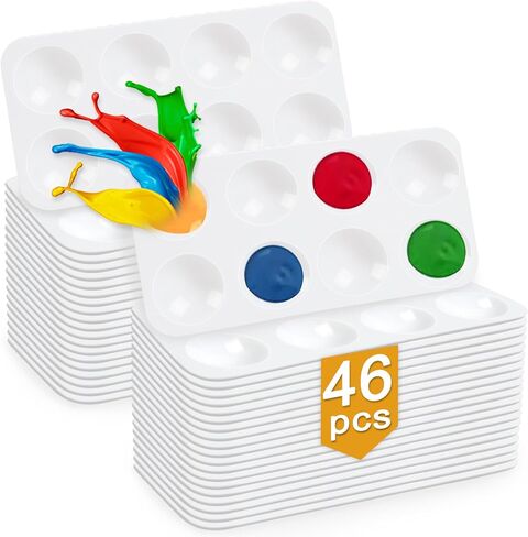 12 قطعة من لوحات طلاء هولاميدا للأطفال، صينية طلاء بلاستيكية بيضاء لحفلات الرسم، صناعة يدوية ورسم فني - مستطيلة in Kuwait