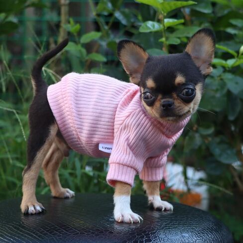LOPHIPETS Small Dog Turtleneck Sweaters for Teacup Chihuahua Yorkie Puppy Cat Clothes-Blue/XXS in Kuwait