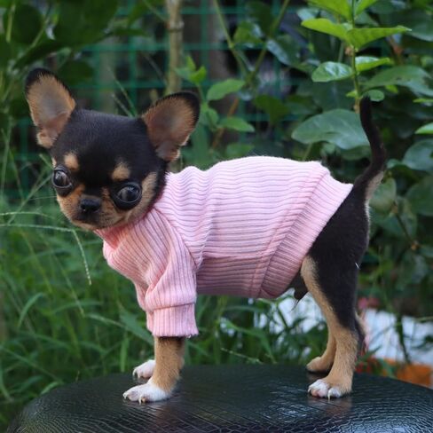LOPHIPETS Small Dog Turtleneck Sweaters for Teacup Chihuahua Yorkie Puppy Cat Clothes-Blue/XXS in Kuwait