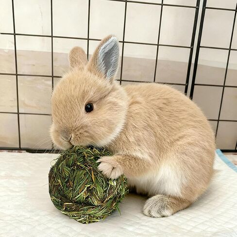 PINVNBY 6 Pack Rabbit Chew Grass Balls,Bunny Natural Timothy Woven Grass Ball Teeth Grinding Activity Play for Hamster,Chinchillas,Gerbils,Guinea Pigs and Other Small Animal in Kuwait