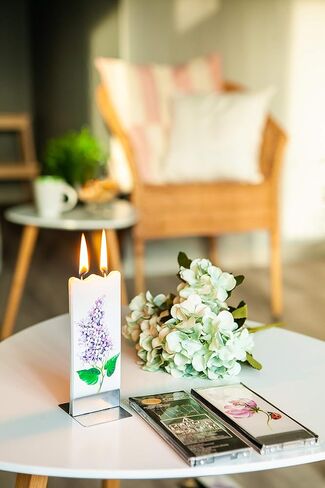 Flatyz Candles Two Red Birds Winter Candle - Flat, Decorative, Hand Painted Candle Gifts for Women or Men - 6 inches in Kuwait