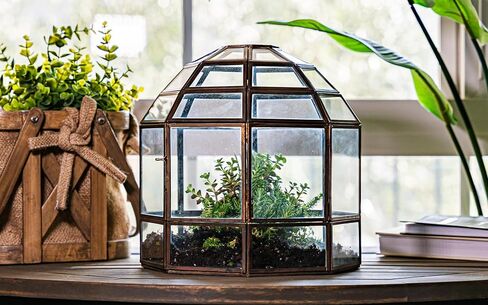 Urban Born Handmade Birdcage Large Glass Terrarium — 10" x 9" x 9" (Black) in Saudi Arabia