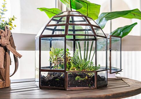 Urban Born Handmade Birdcage Large Glass Terrarium — 10" x 9" x 9" (Black) in Saudi Arabia