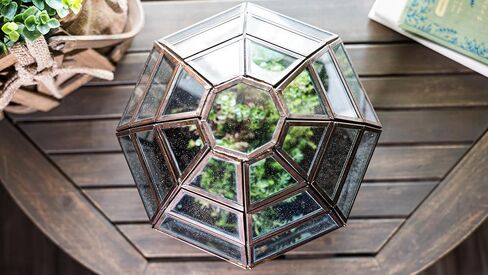 Urban Born Handmade Birdcage Large Glass Terrarium — 10" x 9" x 9" (Black) in Saudi Arabia
