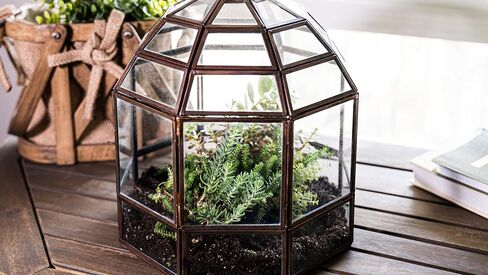 Urban Born Handmade Birdcage Large Glass Terrarium — 10" x 9" x 9" (Black) in Saudi Arabia